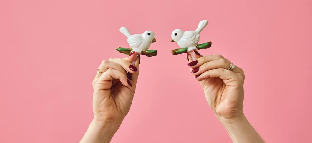 Bestie Bird